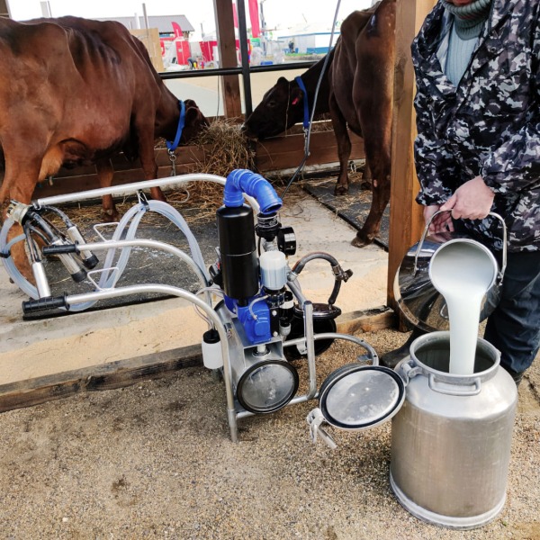 Utilizare solutii de curatat aparate de muls